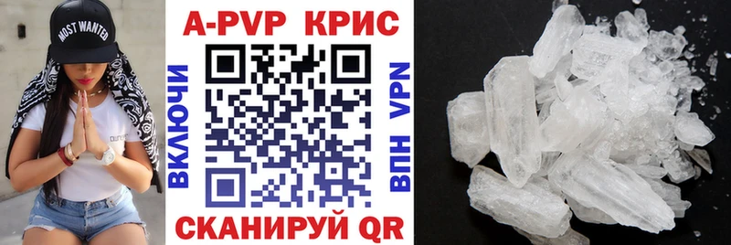 A-PVP СК  Пошехонье 