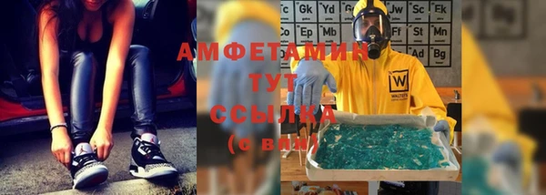 индика Вяземский