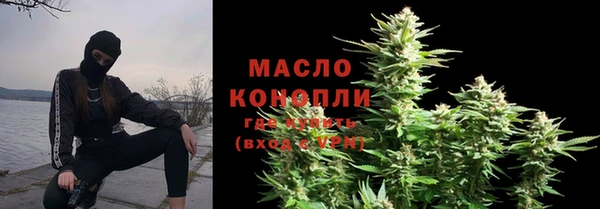 индика Вяземский