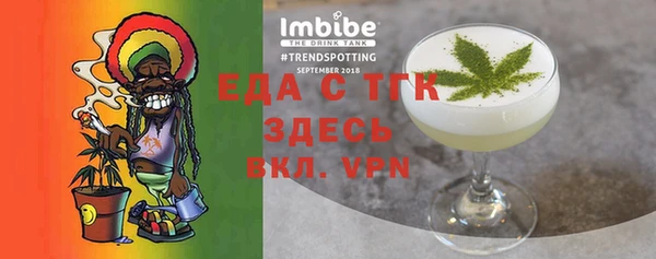 индика Вяземский