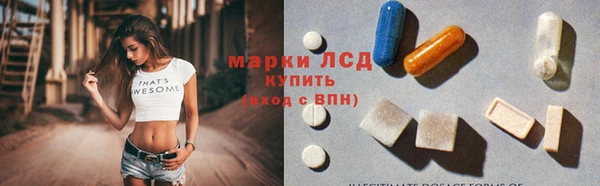 индика Вяземский