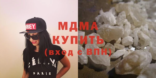 индика Вяземский