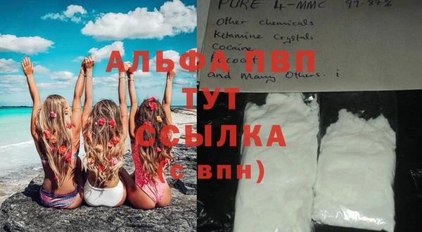 индика Вяземский