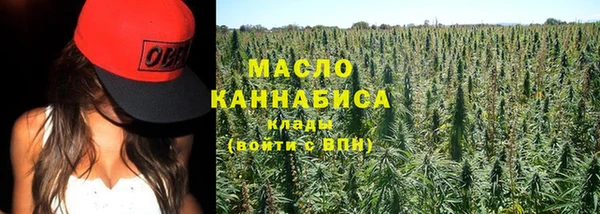 индика Вяземский