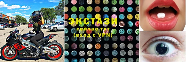 индика Вяземский
