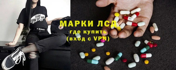 индика Вяземский