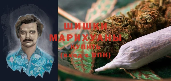 индика Вяземский