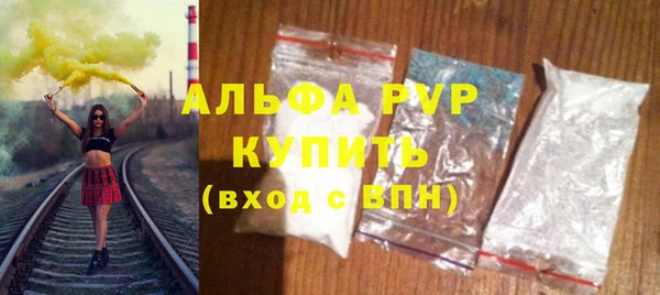 индика Вяземский