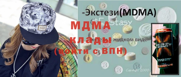 индика Вяземский