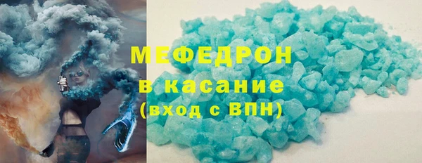 индика Вяземский