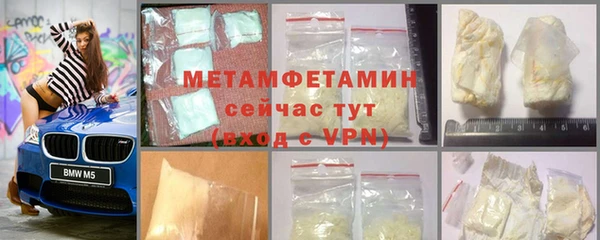 индика Вяземский