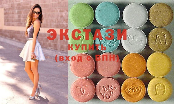 индика Вяземский